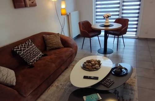 Horbourg-Wihr Apartamento | Colmar garden level with closed garage.