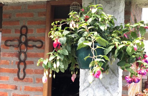 Tanicuchi Chalet De Esquí | Colonel's Villa