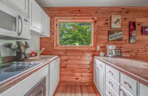 Hunter Cabina | Colonels Cabin Sauna Fireplace Mountain Views
