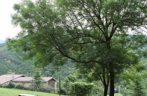 Buira Casa | Colonias Verge Blanca
