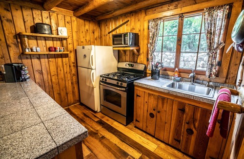 Evergreen Cabina | Colorado Bear Creek Cabina 3