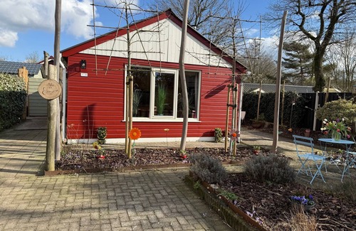 Krachtighuizen Chalet De Esquí | Colorful vacation home Squirrel with barrel sauna