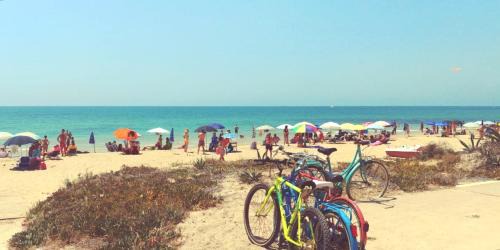 Casuzze Apartamento | Colori a mare