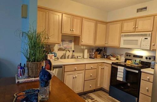 Summerton Apartamento | Come on Down to Goat Island!