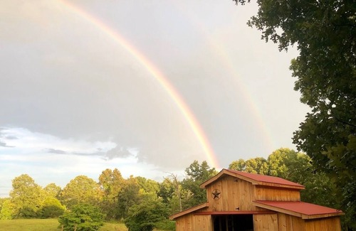 Dunlap Otro | Come Play and Stay at Little Tail Farms