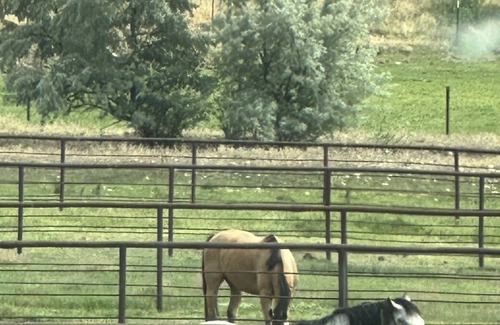Caldwell Otro | Come spend the week at the Silverstone Ranch! Horse arena and stalls available!