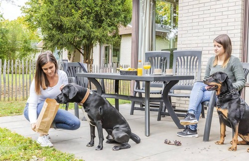 Kell am See Casa | Comfort 6-person dog bungalow in the holiday park Landal Hochwald