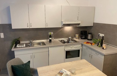 Neualbenreuth Apartamento | Comfort apartment with fully equipped kitchen