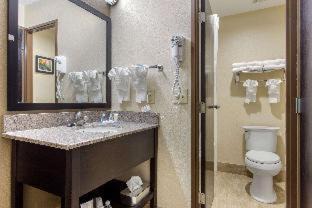 Asheville Hotel | Comfort Inn Asheville East-Blue Ridge Pkwy Access