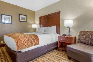 Asheville Hotel | Comfort Inn Asheville East-Blue Ridge Pkwy Access