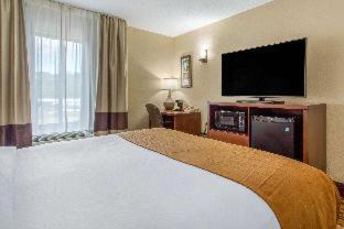 Asheville Hotel | Comfort Inn Asheville East-Blue Ridge Pkwy Access