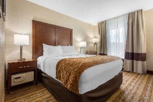 Asheville Hotel | Comfort Inn Asheville East-Blue Ridge Pkwy Access