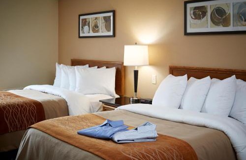 Corner Brook Hotel | Comfort Inn