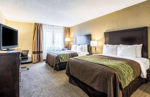 Detroit Hotel | Comfort Inn Detroit Downtown