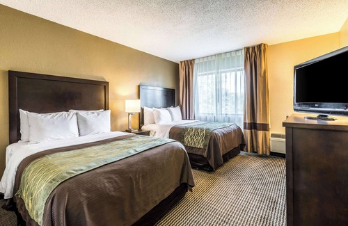Detroit Hotel | Comfort Inn Detroit Downtown