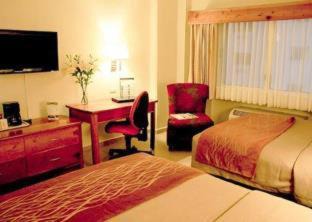 Monterrey Hotel | Comfort Inn Monterrey Valle