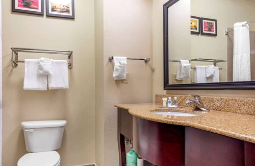 Denton Hotel | Comfort Inn Near UNT
