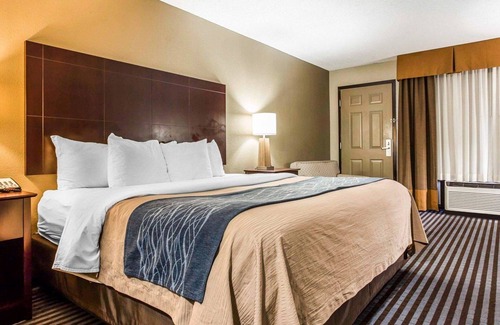 Smyrna Hotel | Comfort Inn & Suites Ballpark Area