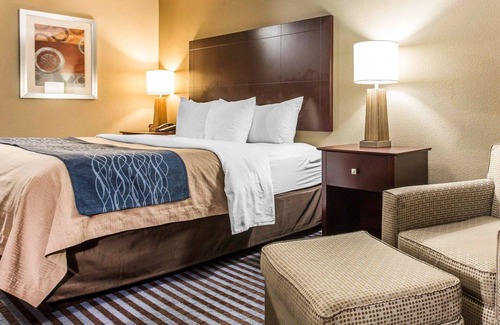 Smyrna Hotel | Comfort Inn & Suites Ballpark Area