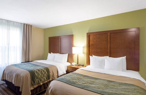 Fayetteville Hotel | Comfort Inn & Suites Fayetteville - University Area