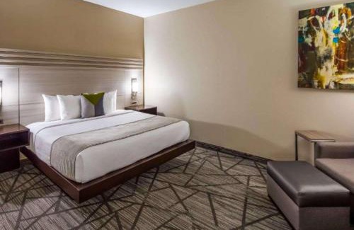 Houston Hotel | Comfort Inn & Suites Houston I-45 North - IAH