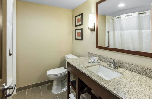 Ashley Oaks Hotel | Comfort Inn & Suites Knoxville West