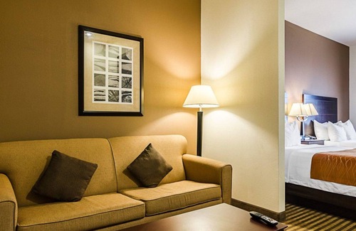 Lawrence Hotel | Comfort Inn & Suites Lawrence - University Area