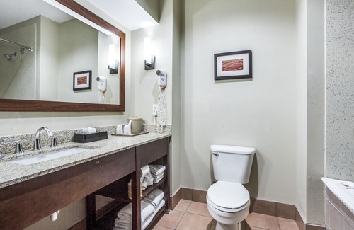 Dallas Hotel | Comfort Inn & Suites Love Field - Dallas Market Center