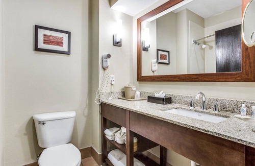 Dallas Hotel | Comfort Inn & Suites Love Field - Dallas Market Center