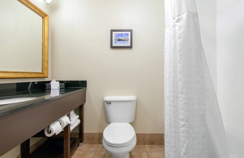Norman Hotel | Comfort Inn & Suites Norman near University