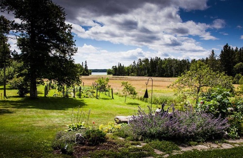 Islesboro Casa | Comodidad y tranquilidad en una isla frente a la costa de Maine.