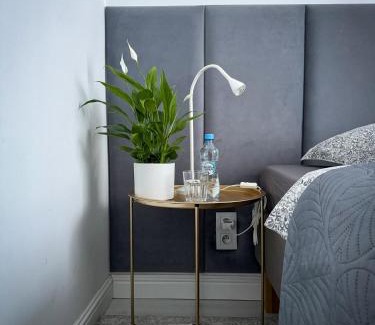 Srodmiescie Apartamento | Comfort Spot