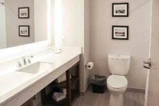 Gainesville Hotel | Comfort Suites Gainesville Near University