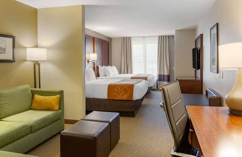 Witmer Hotel | Comfort Suites Amish Country