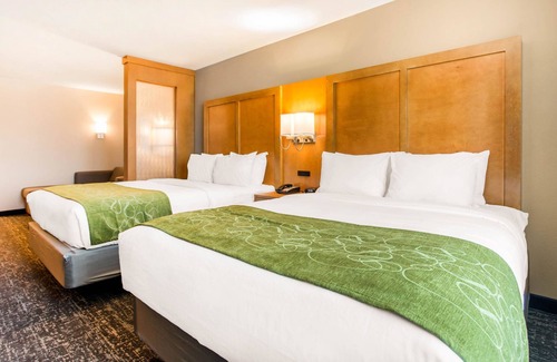 North Charleston Hotel | Comfort Suites North Charleston - Ashley Phosphate