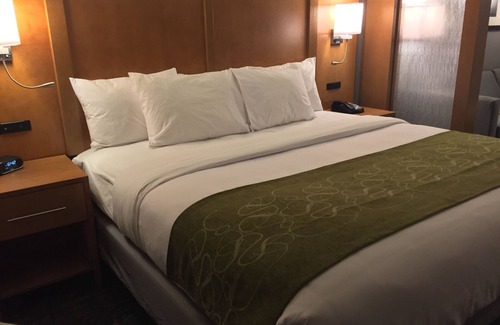 North Charleston Hotel | Comfort Suites North Charleston - Ashley Phosphate