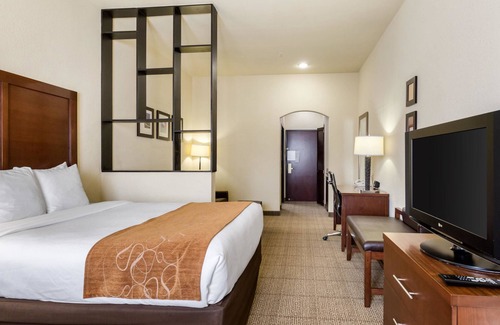 Webster Hotel | Comfort Suites near NASA - Clear Lake