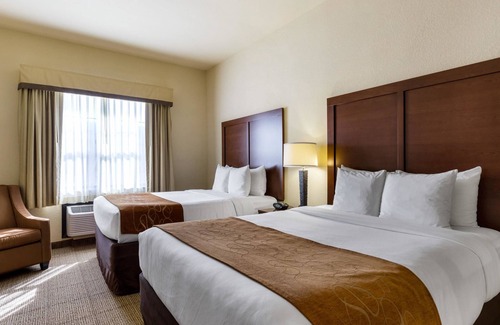 Webster Hotel | Comfort Suites near NASA - Clear Lake