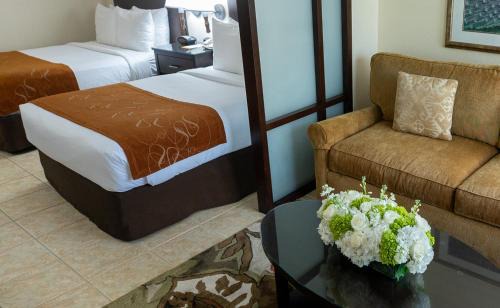 Paradise Island Hotel | Comfort Suites Paradise Island