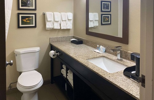 Peoria Hotel | Comfort Suites Peoria I-74