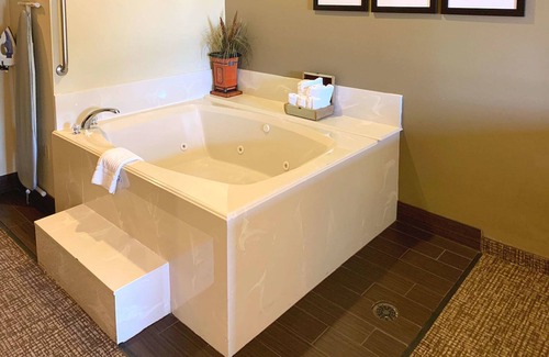 College Station Hotel | Comfort Suites Texas Ave.