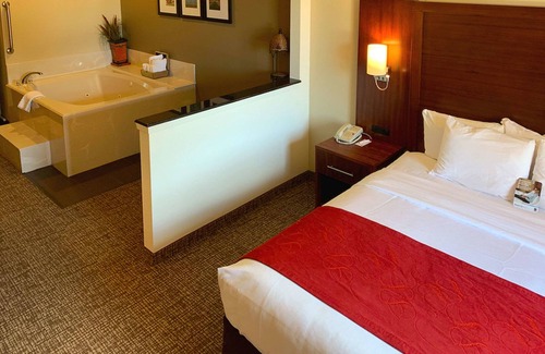 College Station Hotel | Comfort Suites Texas Ave.