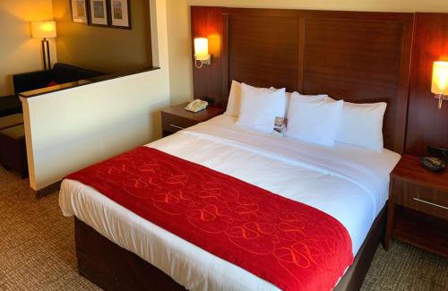 College Station Hotel | Comfort Suites Texas Ave