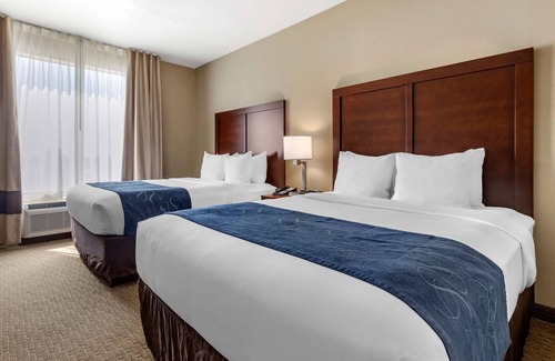 Waco Hotel | Comfort Suites Waco Near University Area