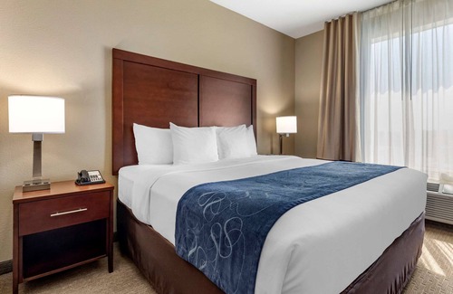 Waco Hotel | Comfort Suites Waco Near University Area