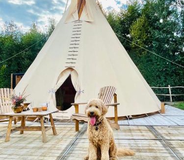 Lembeke Otro | Comfort Tipi Marie, Tipi Bo Deluxe & tent Nicolaï - 'Glamping in stijl'