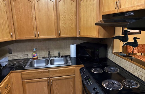 Baton Rouge Condominio | Comfortable and Quiet Condo in Perfect LSU/Downtown Area