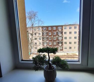 Pohja-Tallinn Apartamento | Comfortable Apartment Gerbera Tallinn