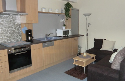 Mainz-Bingen Apartamento | Cómodo apartamento en los viñedos con una maravillosa vista del Rin y los castillos.