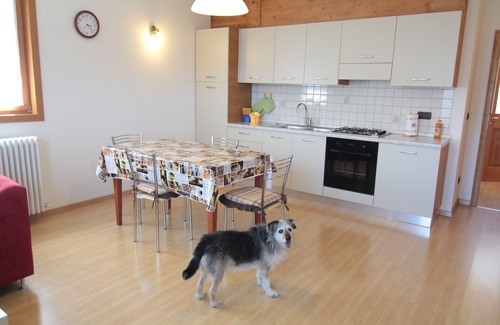 San Pietro di Cadore Apartamento | COMFORTABLE APARTMENT: SPECIAL YOUR STAY IN THE MAJESTIC DOLOMITES